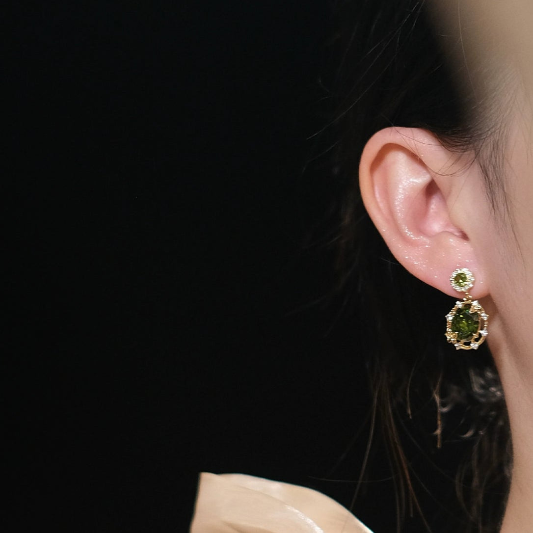 Close-up of an earring with a blurred natural background, featuring the brand 'SW acessorios'.